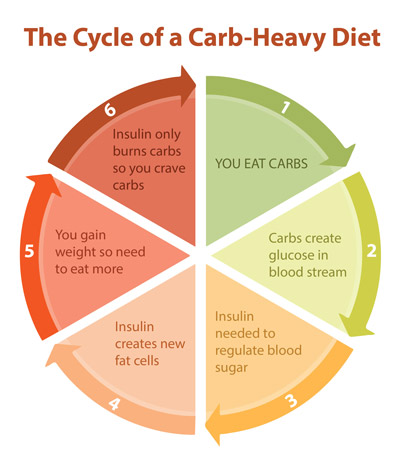 https://www.helpguide.org/wp-content/uploads/carb-cycle-400.jpg