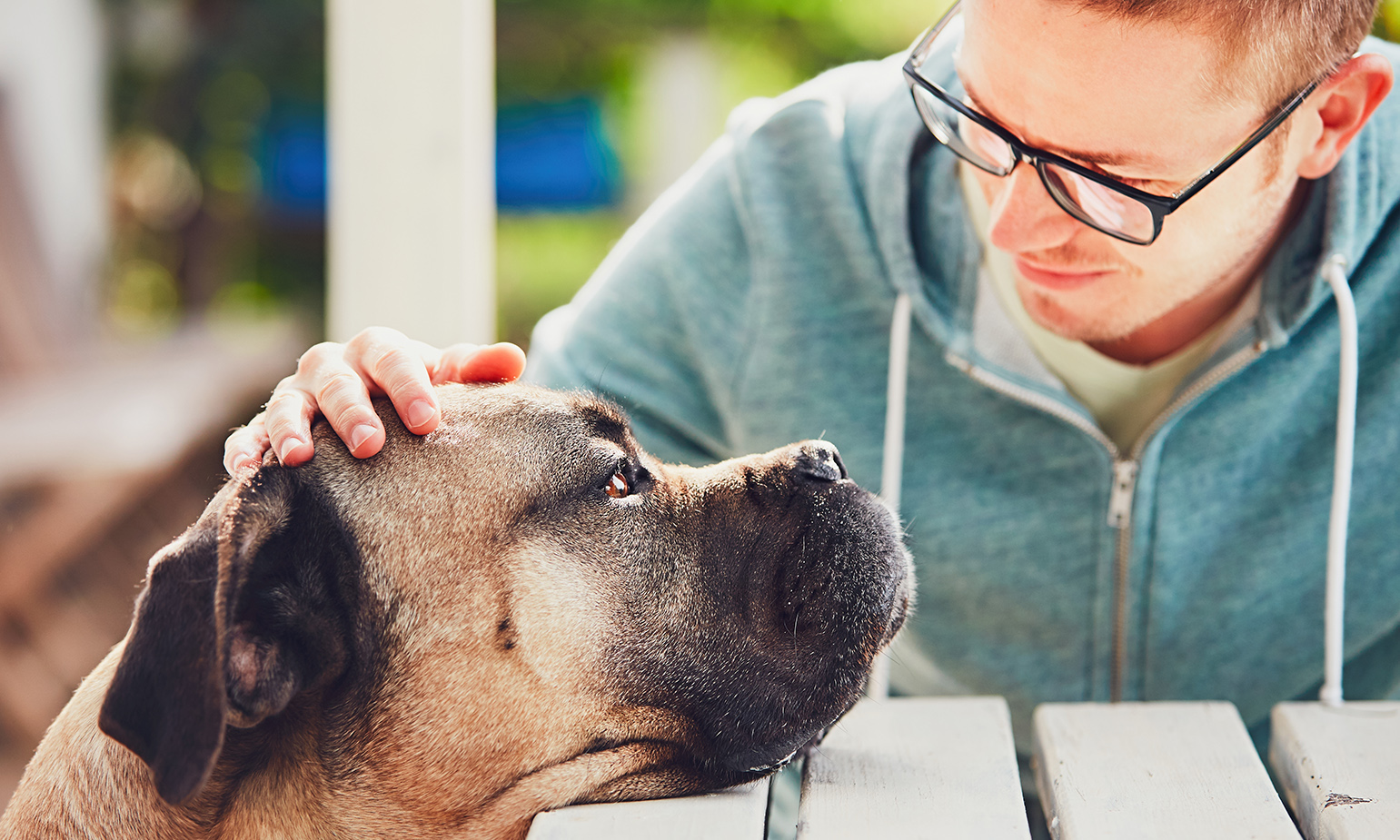 Coping With Losing A Pet Helpguide Org