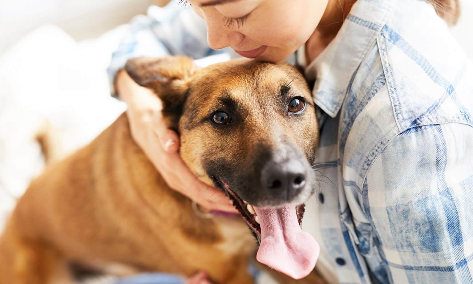 the-health-and-mood-boosting-benefits-of-pets-helpguide